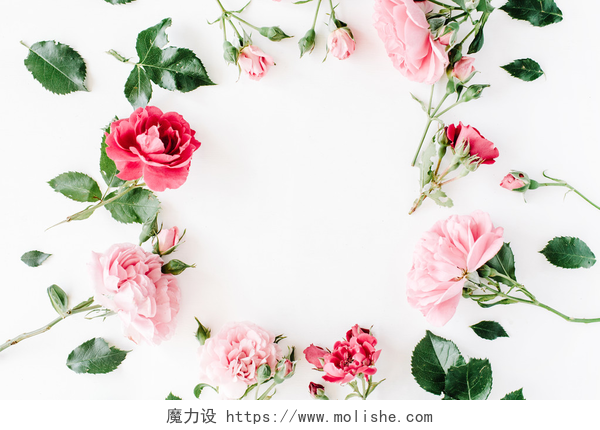顶视彩色花卉玫瑰叶子花环清新母亲节装饰图圆框花圈模式与玫瑰